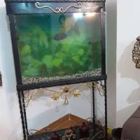 آکواریوم پایه دار