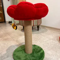 اسکچر گربه|لوازم جانبی حیوانات|تهران, گلستان (شهرک راه آهن)|دیوار