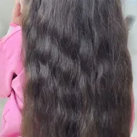 خریدار و صادر کننده مو