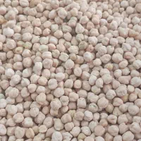 نخود درشت امسالی|خوردنی و آشامیدنی|تهران, جوادیه تهرانپارس|دیوار