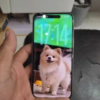 اپل iPhone 15 Pro Max با حافظهٔ ۲۵۶ گیگابایت