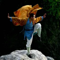 آموزش رزمی، کونگ فو چینی، دفاع شخصی و کیک بوکسینگ