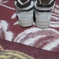 کفش کار،|کیف، کفش، کمربند|جنت, |دیوار