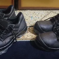 ایمنی دوجفت