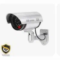 دزد گیر و دوربین