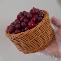 سبد دستباف جدید