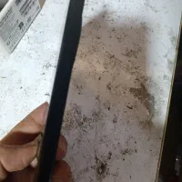 یک عدد گوشی شیامی به فروش می رسد|موبایل|تهران, نعمت‌آباد|دیوار