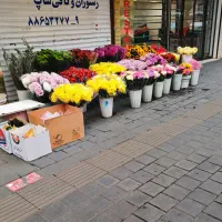 نظافت منزل و شرکت بدون دردسر