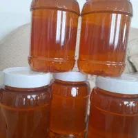 عسل طبیعی لرستان بدون موم خوشمزه خوش عطر|خوردنی و آشامیدنی|محمدشهر, ولدآباد|دیوار