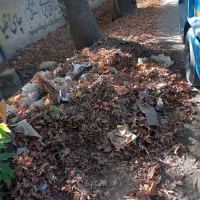 نیرو خدمات دهیاری با بیمه