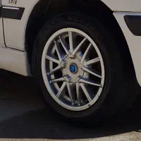 رینگ خرچنگی