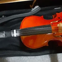 ویالن فروشی|ویولن|صفادشت, |دیوار