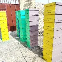 کندو|لوازم جانبی حیوانات|شیراز, انجیر|دیوار