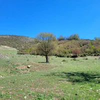 ۴۰۰۰هزار متر زمین منطقه یلاقی