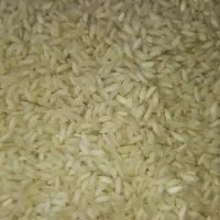 برنج لرستان