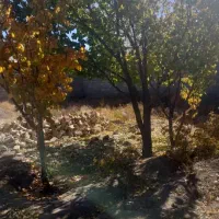 فروش خانه در لاله زار منطقه گردشگری|فروش خانه و ویلا|لاله زار, |دیوار