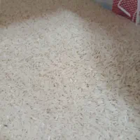 برنج طارم هاشمی درجه یک کشت دوم  نوج|خوردنی و آشامیدنی|سرخرود, |دیوار