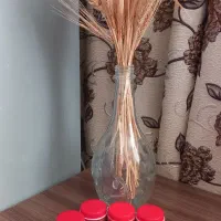 کرم روشن کننده