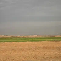 نگهبان شبانه روزی