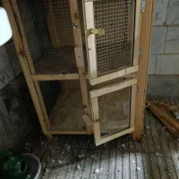 گنجه|لوازم جانبی حیوانات|تهران, مسگرآباد|دیوار