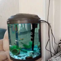 آکواریوم نیم دایره ماهیران|ماهی|شهریار, شهرک وائین|دیوار