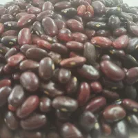 لوبیا|خوردنی و آشامیدنی|لنجان, |دیوار