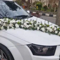 گل طبیعی گل مصنوعی ماشین عروس تاج گل
