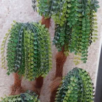 درختچه|گل مصنوعی|اهواز, پردیس دو|دیوار