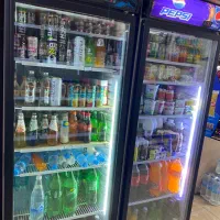 یخچال و لوازم کامل پروتوینی|فروشگاه و مغازه|رشت, حمیدیان|دیوار