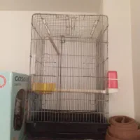 قفس کاسکوای