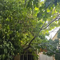اجاره خانه ویلایی ۲۱۰ متری ۳ خوابه در دباغ خانه|اجارهٔ خانه و ویلا|شیراز, دباغ خانه|دیوار