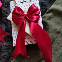 گیره پاپیونی  به قیمت عمده