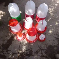 آب خوری ودان خوری پرنده