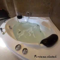 وان و جکوزی 2 نفره 150×150 (۵ سال ضمانت CHEETAH)|لوازم حمام|تهران, خانی آباد نو شمالی|دیوار