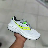 کتونی ساکونی