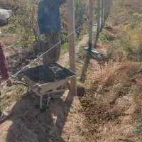 فنس کشی وداربست باغات بابهترین قیمت وکیفیت - حیدری|خدمات باغبانی و درختکاری|تاکستان, |دیوار