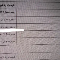 جوجه عروس هلندی|پرنده|پارس‌آباد, |دیوار