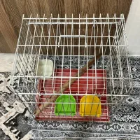 قفس پرنده مناسب طوطی مرغ مینا عروس هلندی|لوازم جانبی حیوانات|تهران, هفت چنار|دیوار