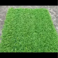 چمن مصنوعی در حد نو