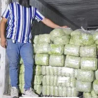 باقالی منجمد ونخود سبز پاک شده