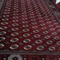 اقساط باچک|فرش|گرگان, |دیوار