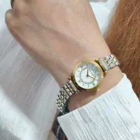 ساعت مچی زنانه امپریو آرمانی ژاپن استیل|ساعت|مشهد, شاهد (شهرک غرب)|دیوار