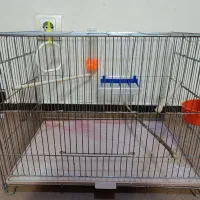 قفس همراه با وسایل