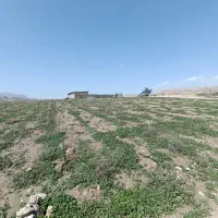 زمین-آبی-و-گاوداری