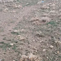 زمین در زرنق