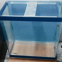 آکواریوم شیشه خم با وسایل