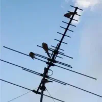 نصاب