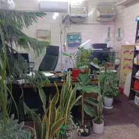 تاکسی تلفنی پرستو