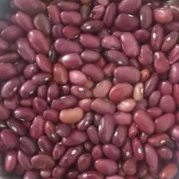 لوبیا قرمز|خوردنی و آشامیدنی|ازنا, |دیوار