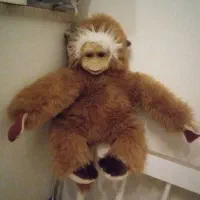 اسباب بازی عروسک درحدنو ۱۰۰ و ۱۵۰ و ۲۰۰|اسباببازی بچه|تهران, آذری|دیوار